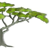 Pain Relief Pittsburgh